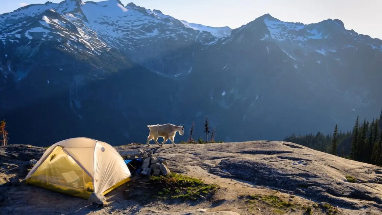 Close up on a plate of mashed potatoes, topped with baked pork chops with cream of mushroom soup, and a side of green beans.