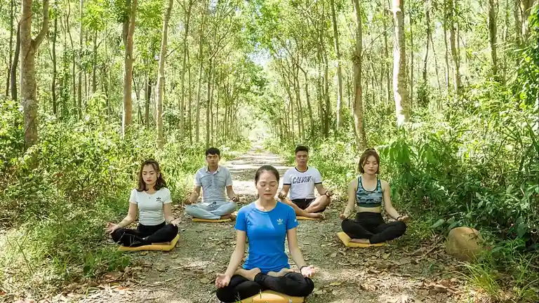 Easy, Two-Ingredient Pulled Pork