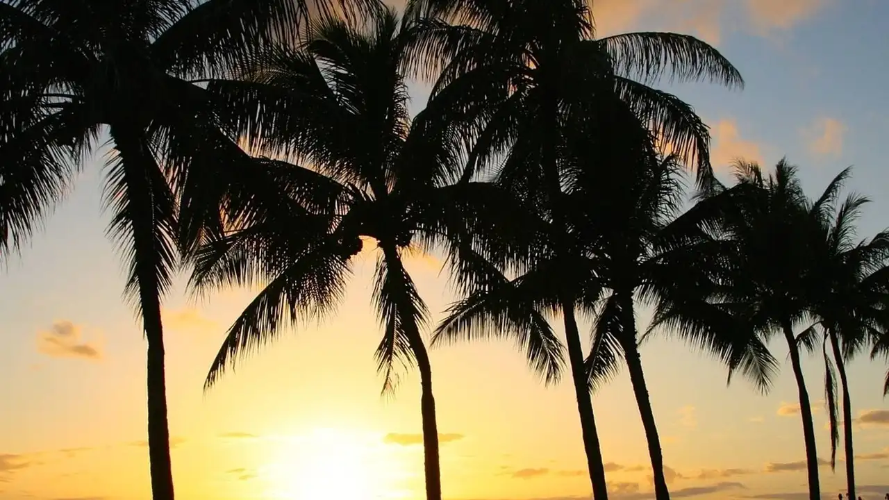 Close up on a plate of mashed potatoes, topped with baked pork chops with cream of mushroom soup, and a side of green beans.