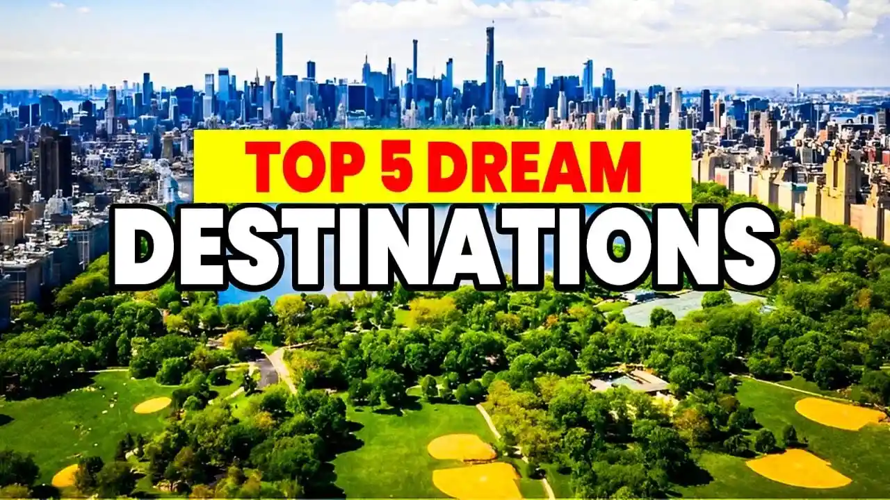 blue bowl of black bean beef tortilla soup on a board with cilantro and shredded cheese in background