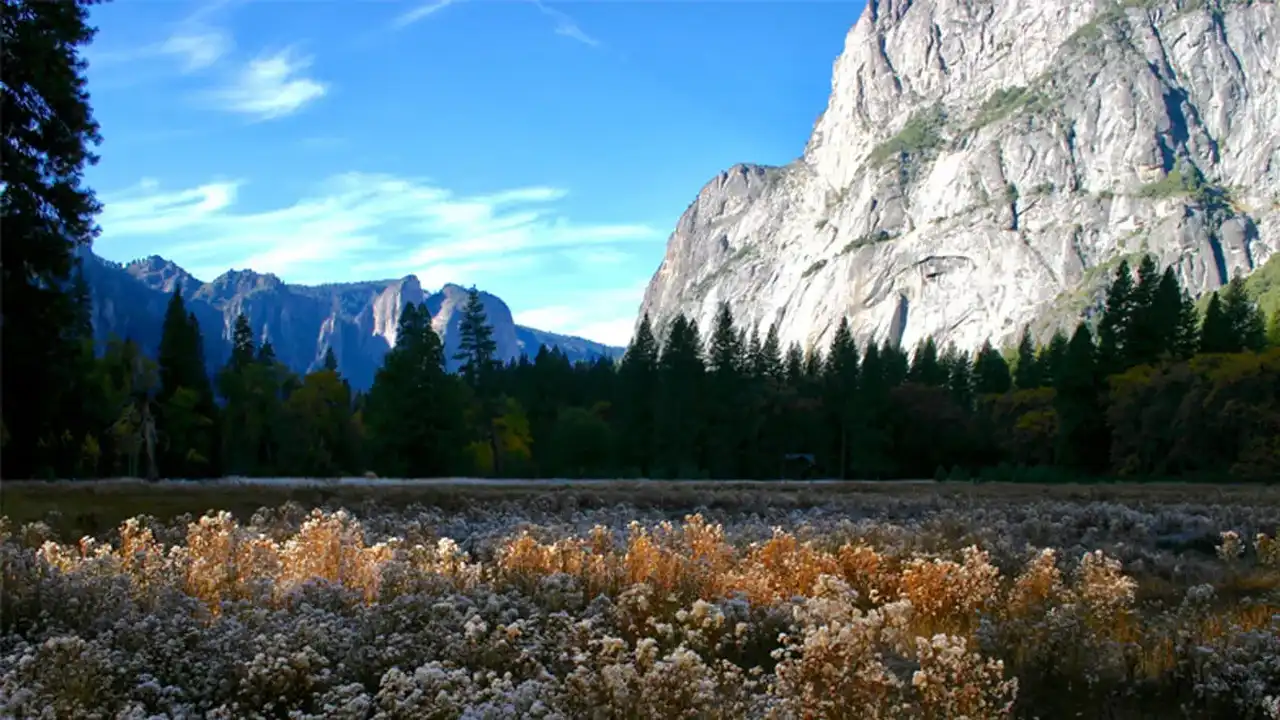 Close up on a plate of mashed potatoes, topped with baked pork chops with cream of mushroom soup, and a side of green beans.